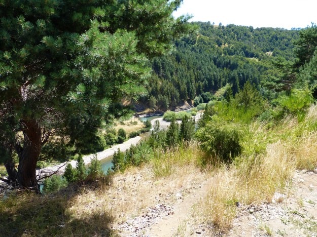 6F5C79A6-F0A3-409F-9AB0-1B45247968F9